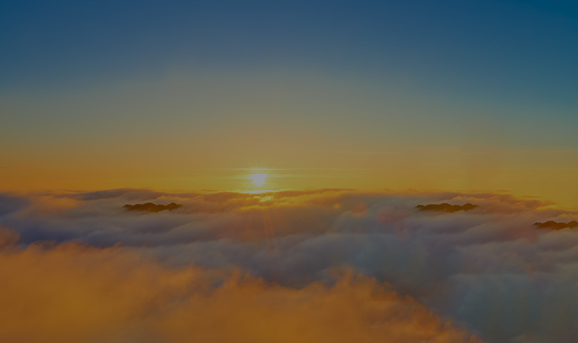 東陽(yáng)光集團(tuán)網(wǎng)站建設(shè)